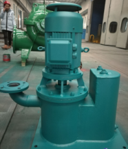佛山长海电厂WLZ立式自吸泵发货